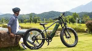 Electric Bike Amazon 