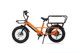 Which Electric Bike Is Good For Delivery 