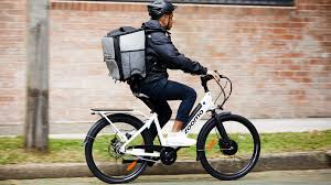Which Electric Bike Is Good For Delivery 