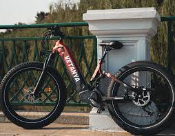 Electric Bike Suspension