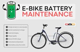 Electric Bike Inspect the Frame and Electrical Components