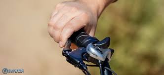 Electric Bike Brakes