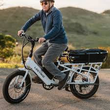 Cargo Electric Bikes