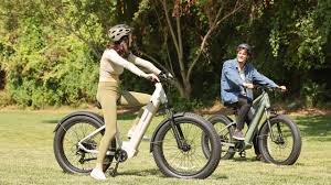 Electric Bike Additional Features