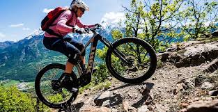 Mountain Electric Bikes