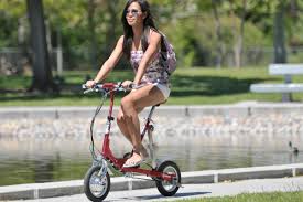 Folding Electric Bike