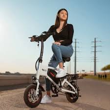 Folding Electric Bike