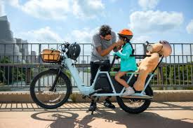 Cargo Electric Bikes