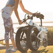 Folding Electric Bike